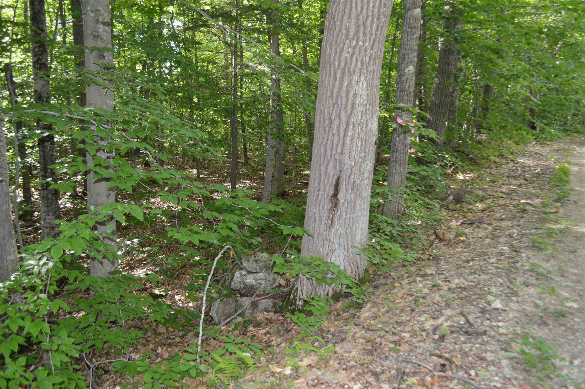 Lot 7 Bickford Road, Unit 7 Wolfeboro, NH 03894 - Photo 16 of 16 Gallery Image 16