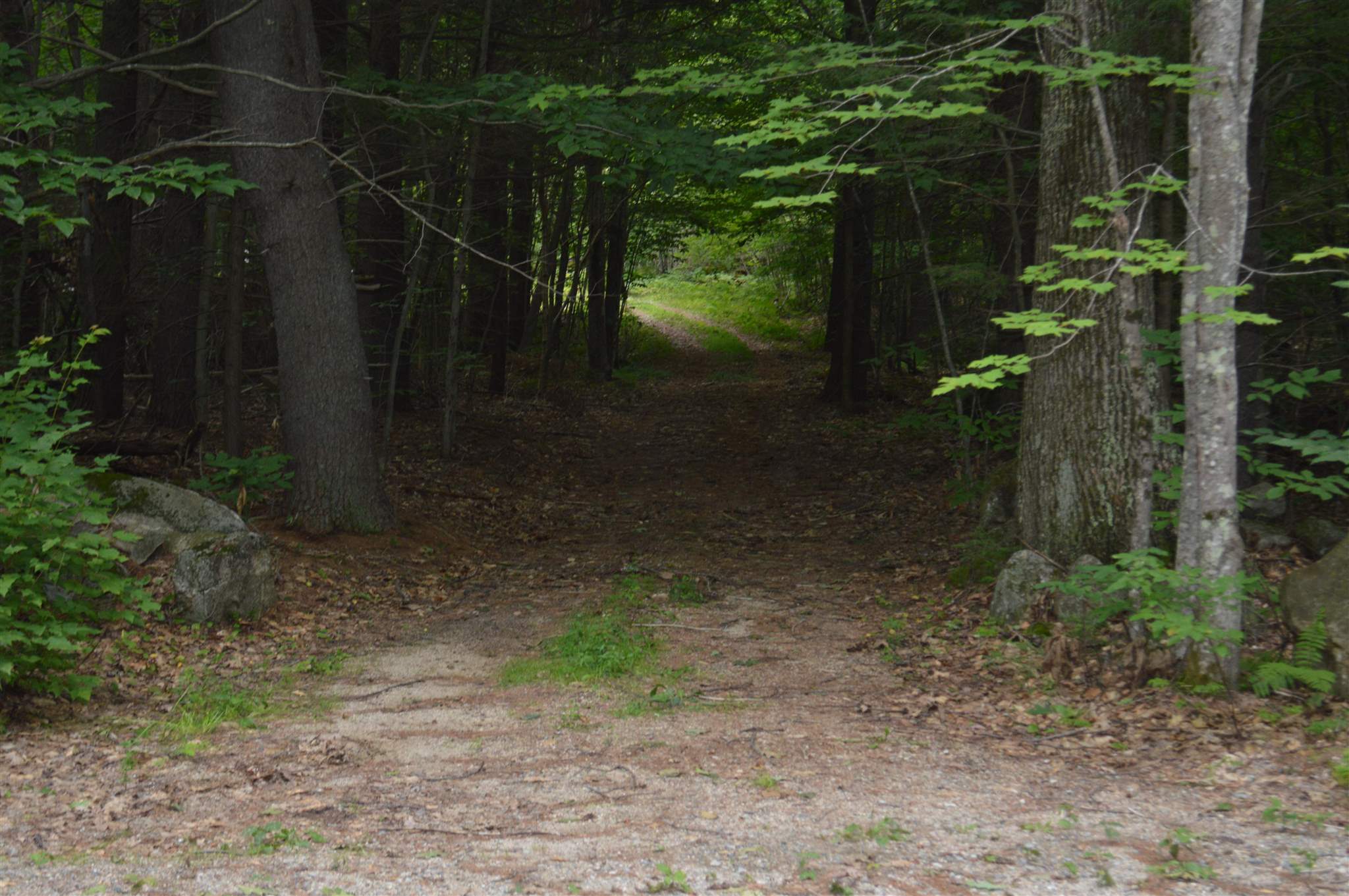 Lot 7 Bickford Road, Unit 7 Wolfeboro, NH 03894 - Photo 3 of 16 Gallery Image 3