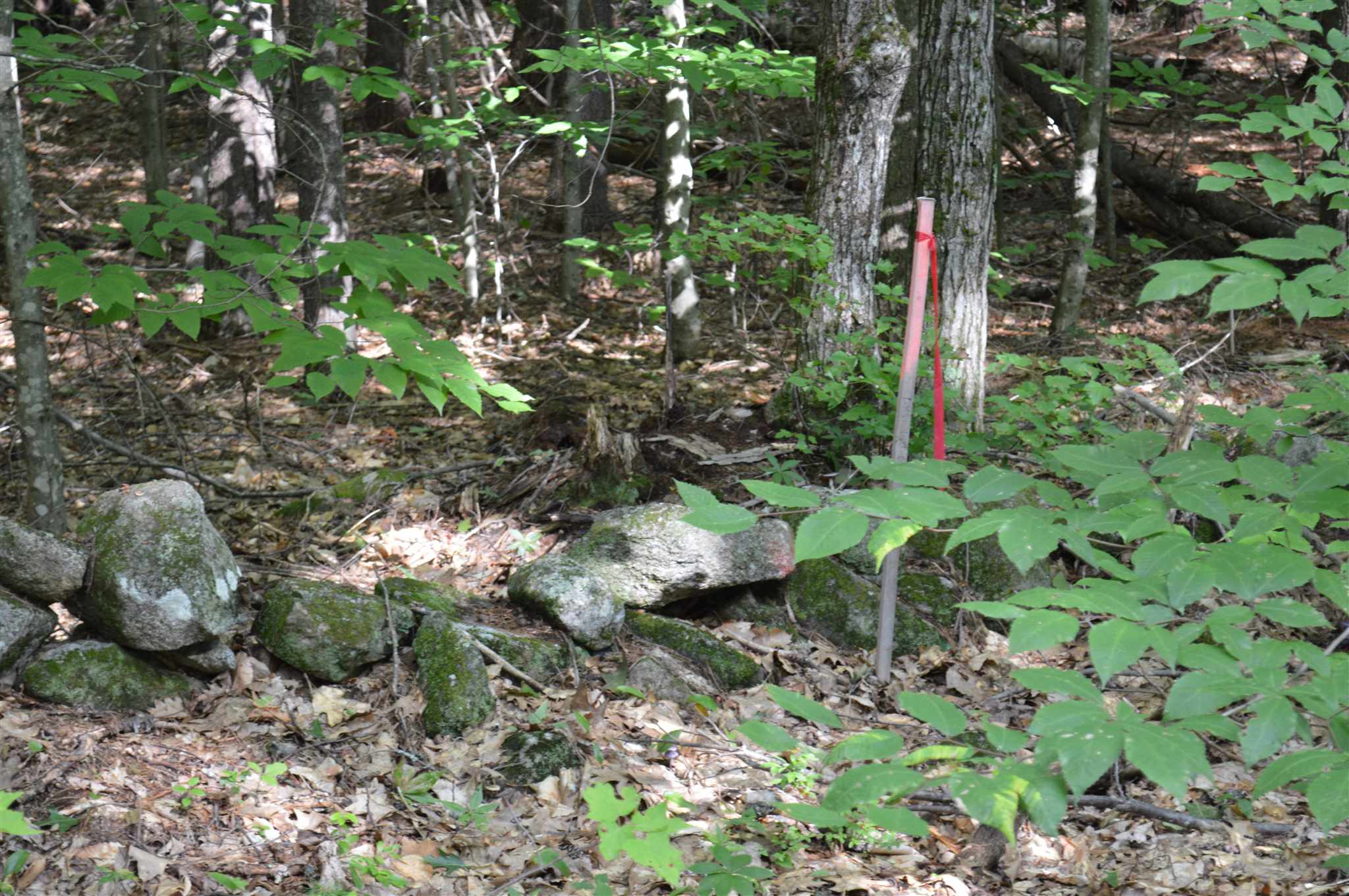 Lot 7 Bickford Road, Unit 7 Wolfeboro, NH 03894 - Photo 7 of 16 Gallery Image 7