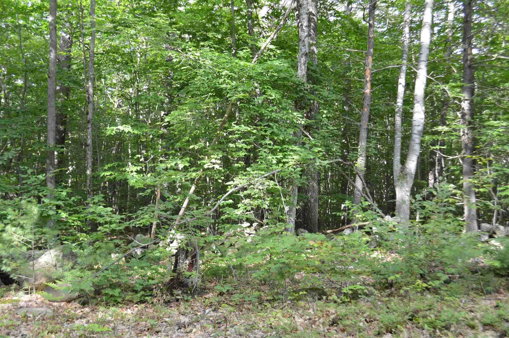 Lot 7 Bickford Road, Unit 7 Wolfeboro, NH 03894 - Photo 9 of 16 Gallery Image 9