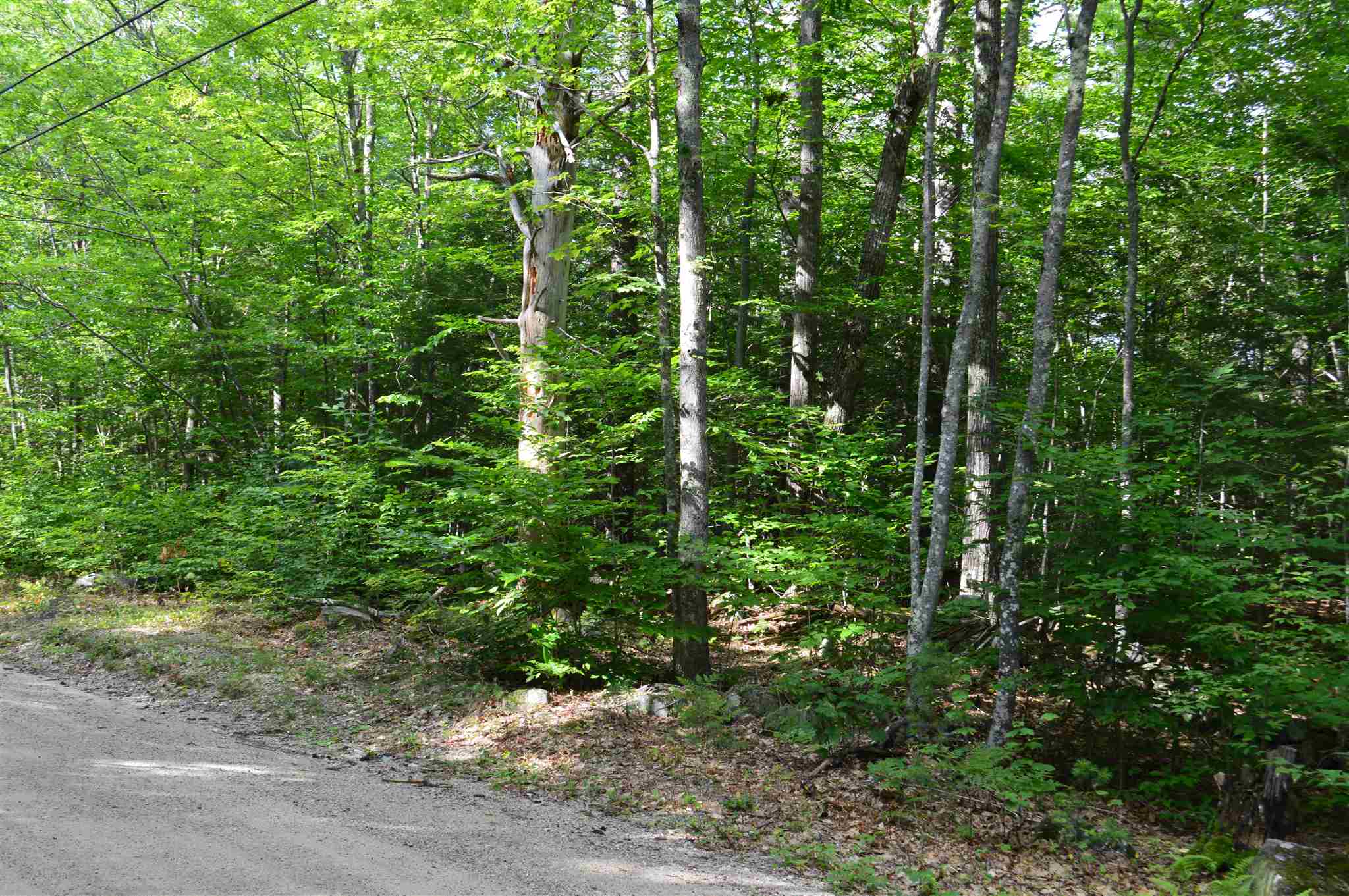 Lot 7 Bickford Road, Unit 7 Wolfeboro, NH 03894 - Photo 10 of 16 Gallery Image 10