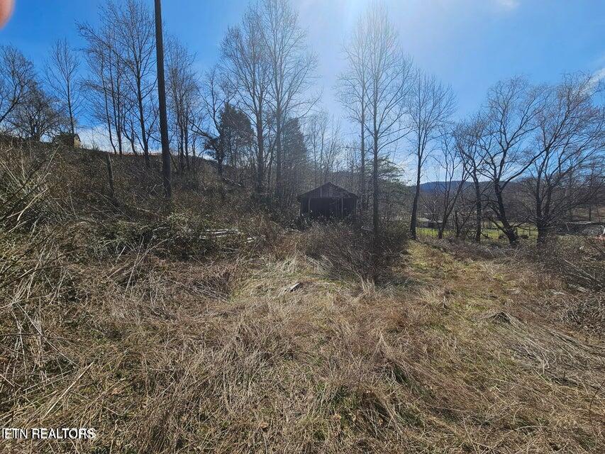 0 Morningstar Road Pioneer, TN 37847 - Photo 11 of 19 20250312170434765563000000-o