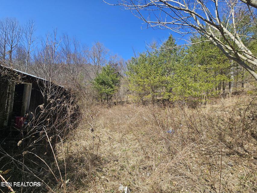 0 Morningstar Road Pioneer, TN 37847 - Photo 13 of 19 20250312170405092170000000-o
