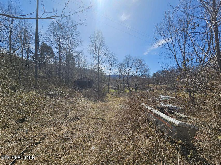 0 Morningstar Road Pioneer, TN 37847 - Photo 14 of 19 20250312170400413377000000-o