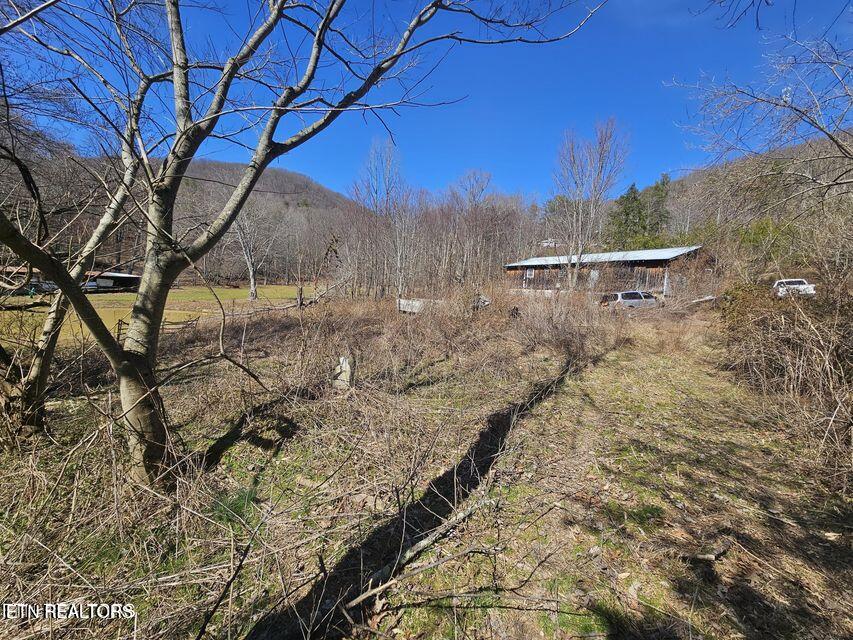 0 Morningstar Road Pioneer, TN 37847 - Photo 15 of 19 20250312170444768463000000-o