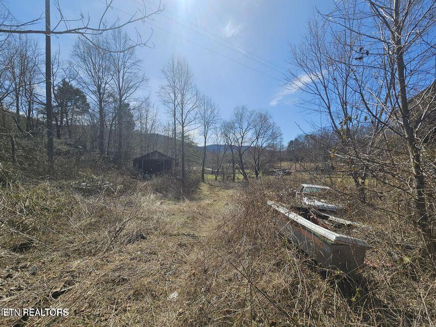 0 Morningstar Road Pioneer, TN 37847 - Photo 16 of 19 20250312170356002133000000-o