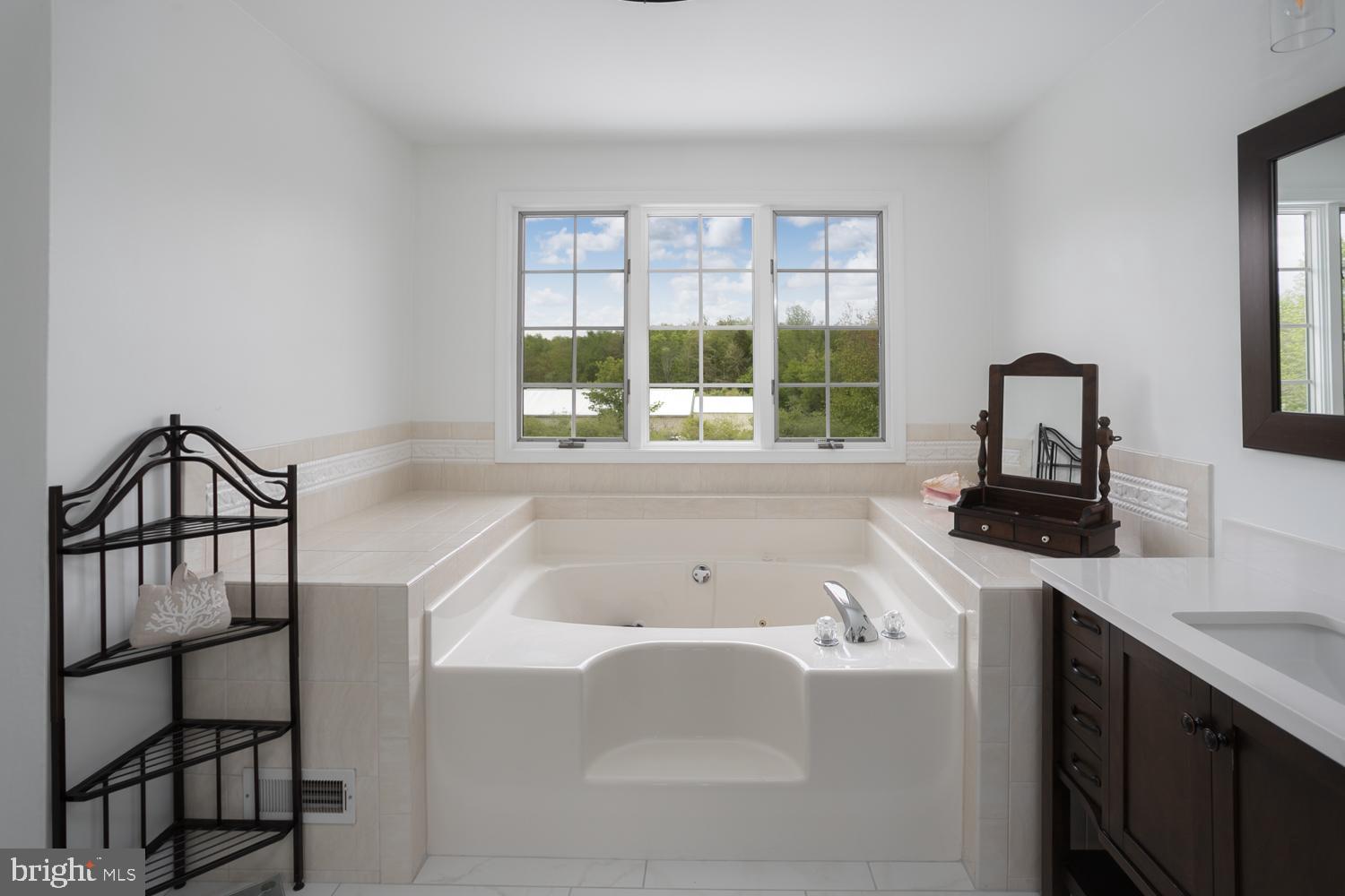 228 Long Swamp Road New Egypt, NJ 08533 - Photo 22 of 49 master bath