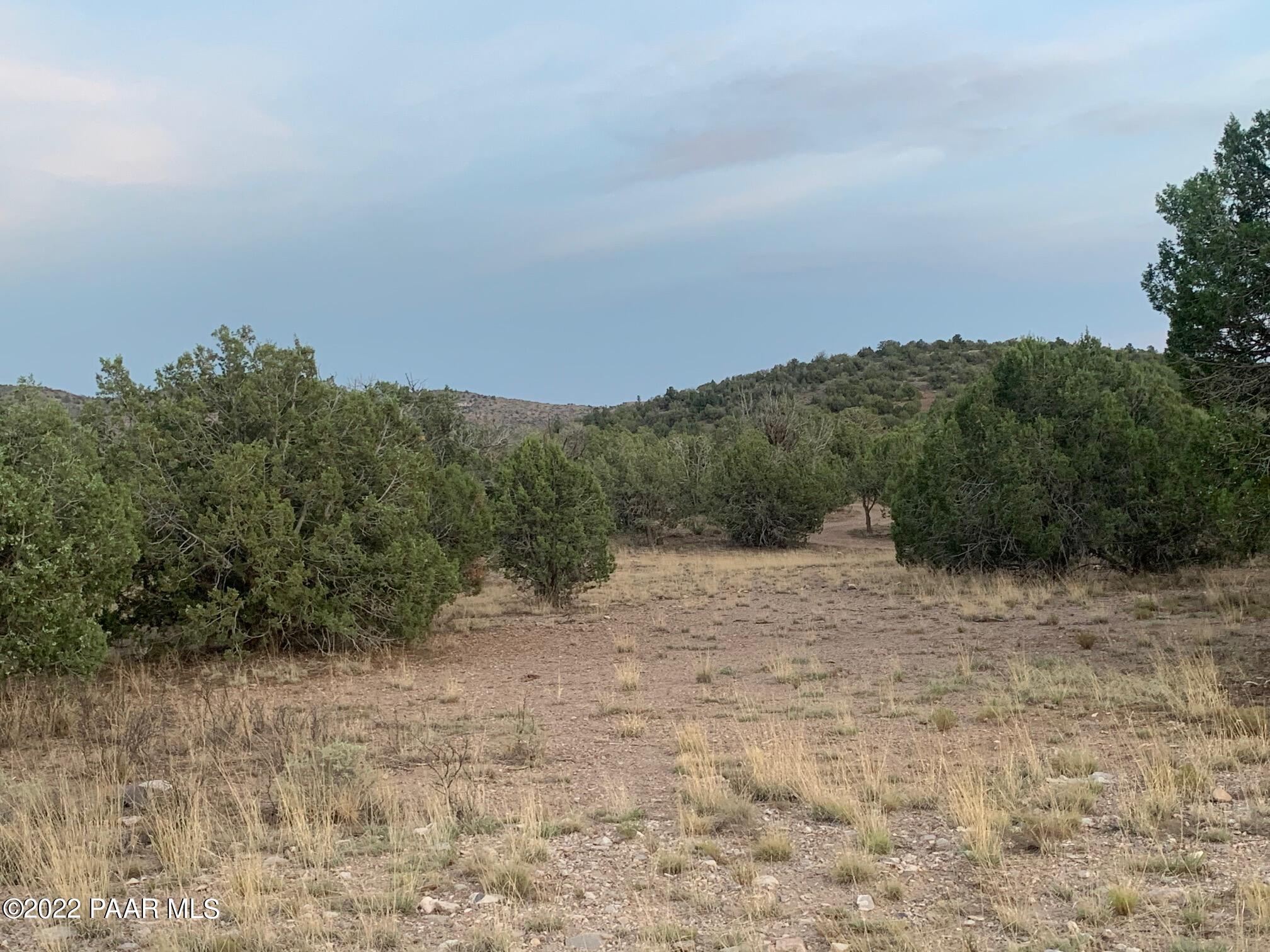 5131 Dillon Wash Road Prescott, AZ 86305 - Photo 1 of 9 1