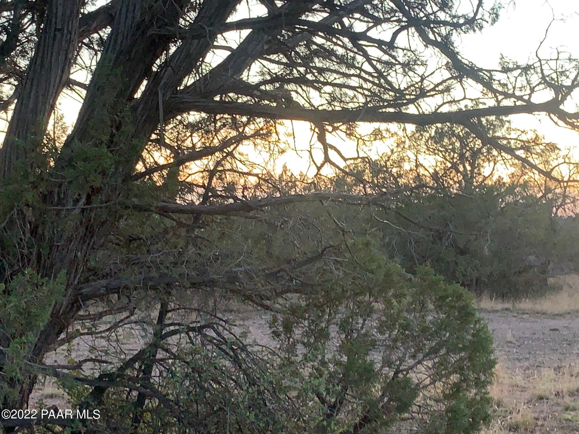 5131 Dillon Wash Road Prescott, AZ 86305 - Photo 3 of 9 3
