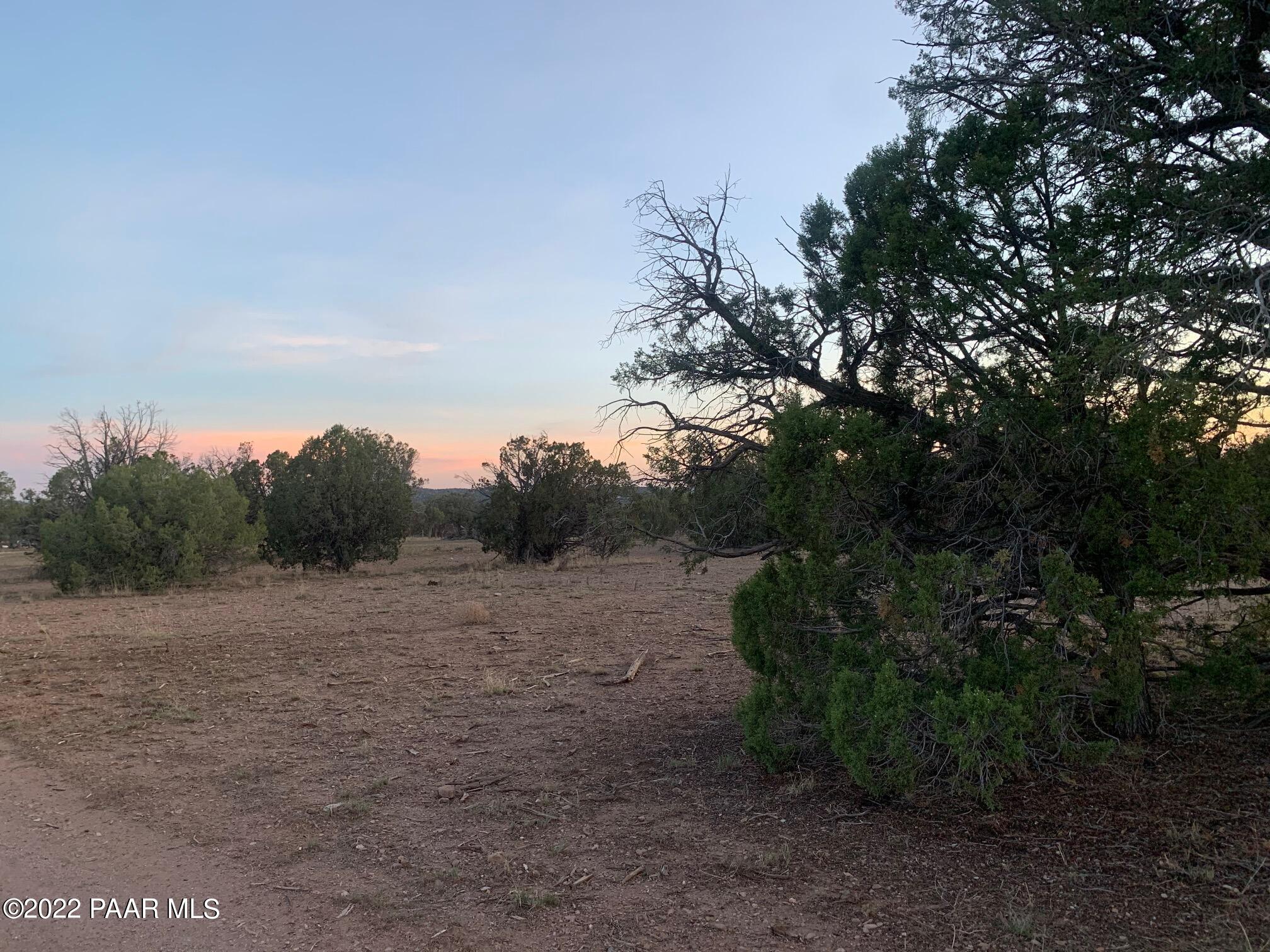 5131 Dillon Wash Road Prescott, AZ 86305 - Photo 4 of 9 5