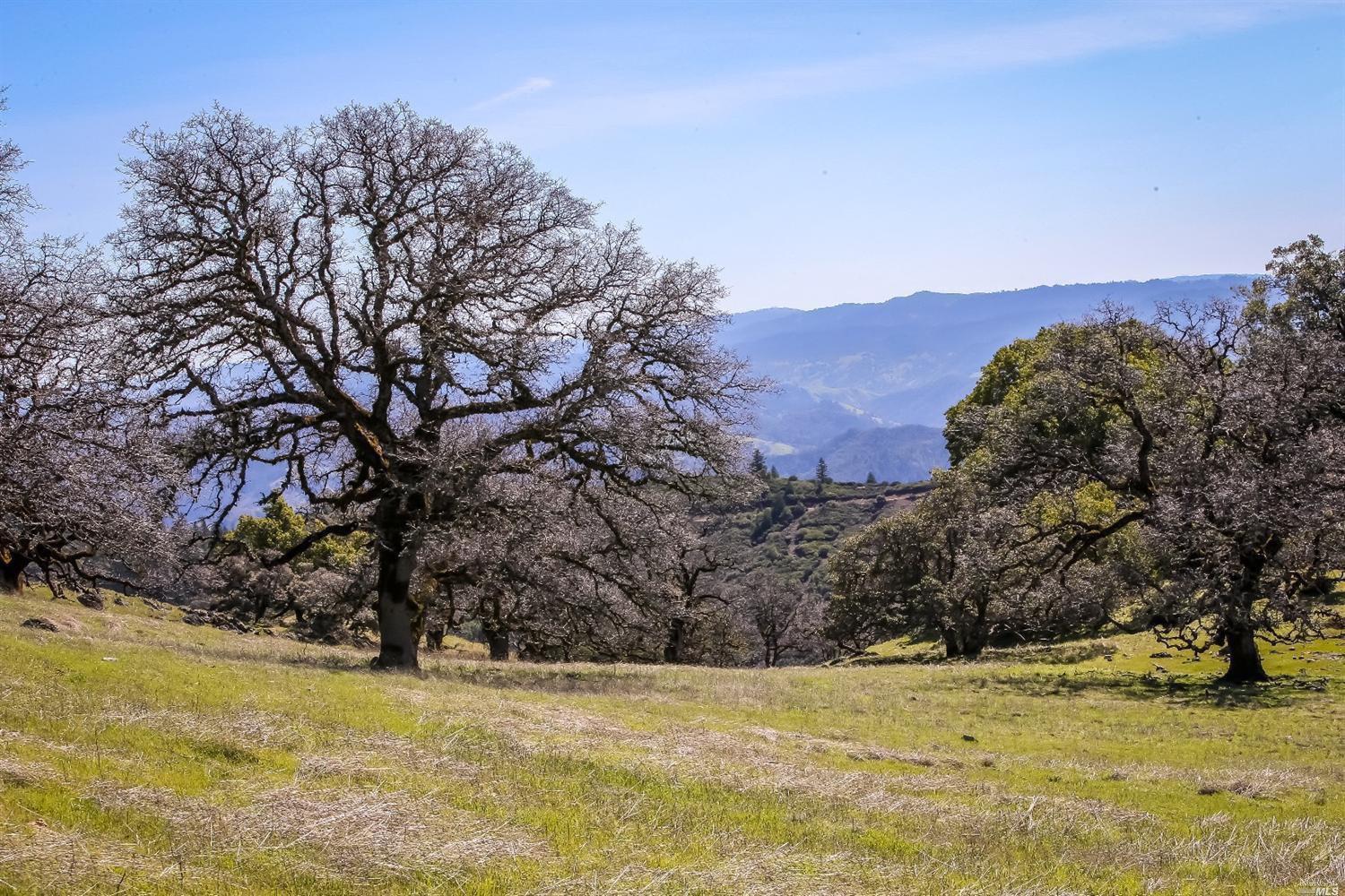 5385 Road 110 Road Hopland, CA 95449 - Photo 1 of 1 "The Raven" is a stunning ranch located in Southern Mendocino County in the Hopland area.