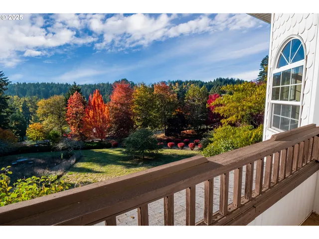 a view of a garden with an outdoor space