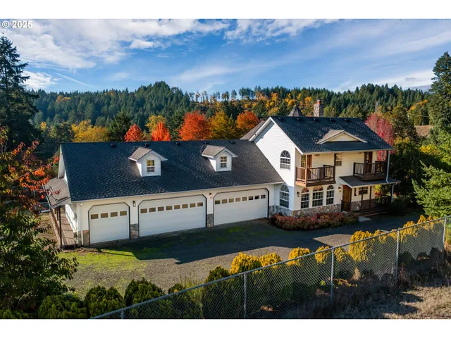a aerial view of a house with a yard and potted plants