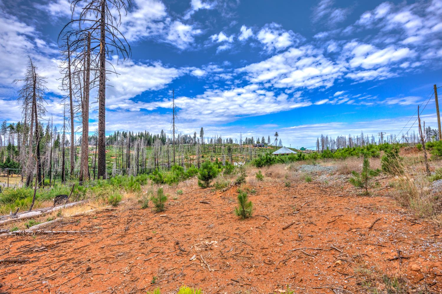 4529 String Canyon Road Grizzly Flats, CA 95636 - Photo 6 of 17