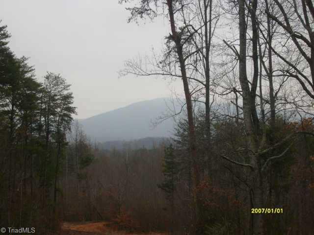 1347 Frye Road Westfield, NC 27053 - Photo 3 of 9 Other.