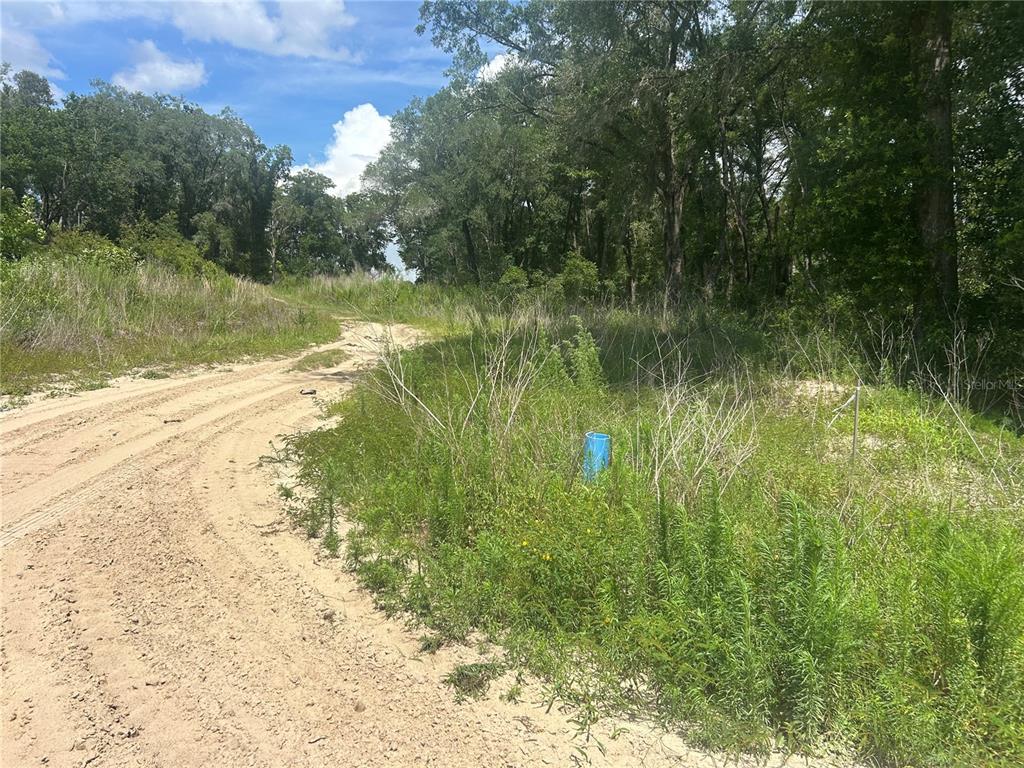4392 East Jay Street Inverness, FL 34453 - Photo 2 of 3