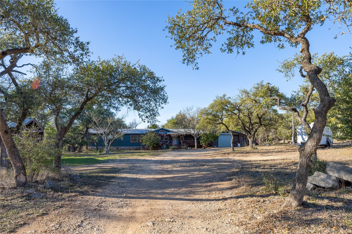 a view of a yard with large trees