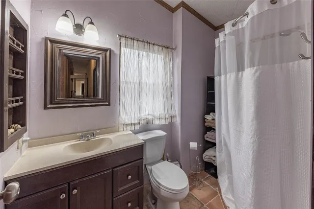 a bathroom with a toilet a sink and a shower curtain