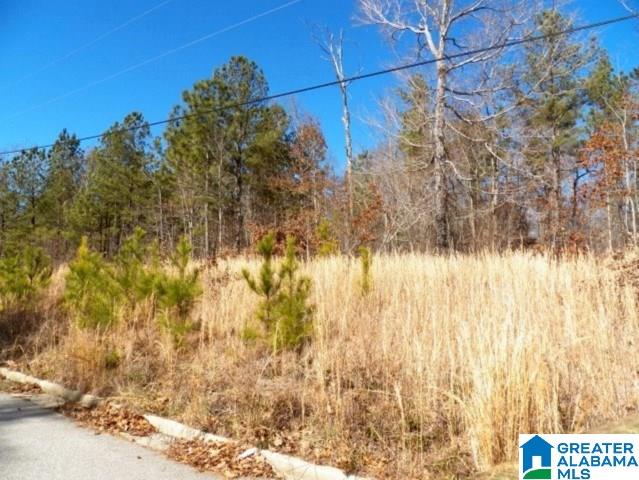 245 Covington Rdg Drive, Unit 34 Jacksonville, AL 36265 - Photo 5 of 11