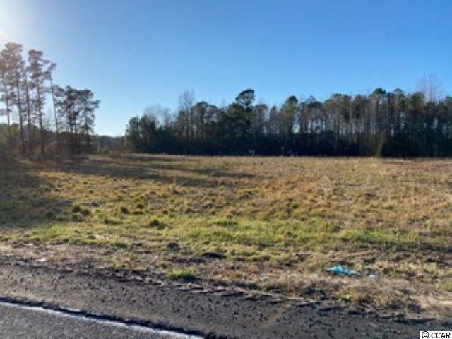 348 Highway 348 Loris, SC 29569 - Photo 4 of 8