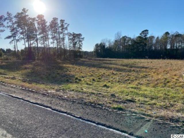 348 Highway 348 Loris, SC 29569 - Photo 5 of 8