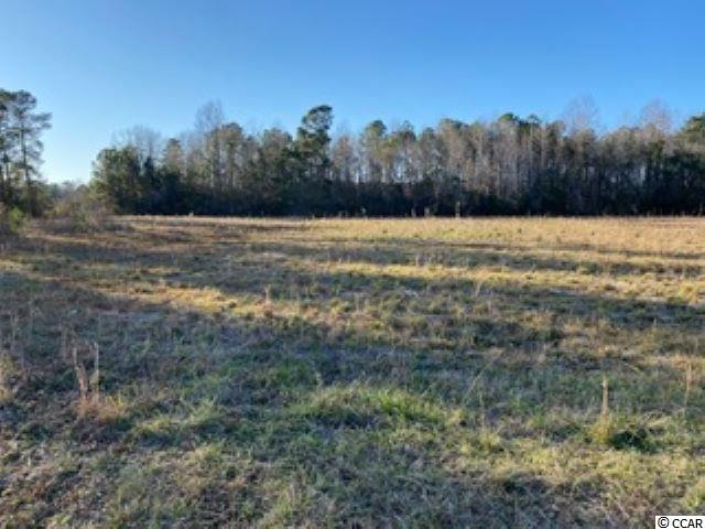 348 Highway 348 Loris, SC 29569 - Photo 6 of 8