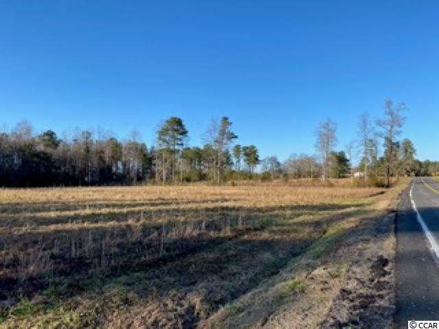 348 Highway 348 Loris, SC 29569 - Photo 7 of 8