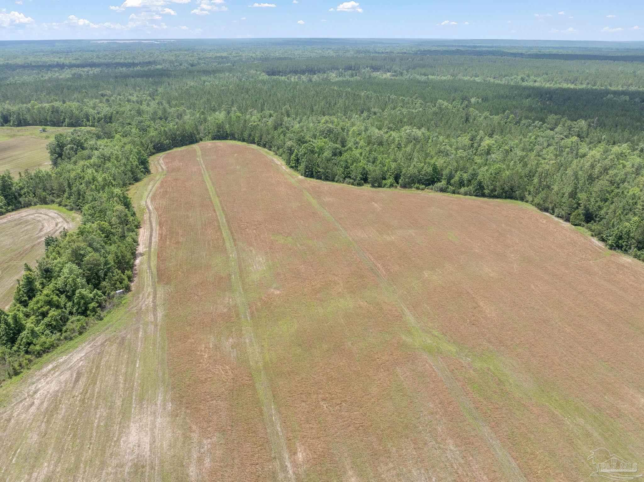 Lot 58 Mineral Springs Road Jay, FL 32565 - Photo 2 of 2 a view of a field with an ocean view