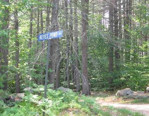 38 Perry Hill Road Harrison, ME 04040 - Photo 21 of 21 Land/Lot.