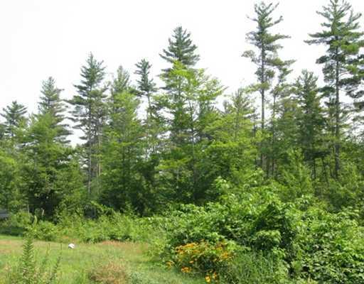 38 Perry Hill Road Harrison, ME 04040 - Photo 6 of 21 Yard/Garden.