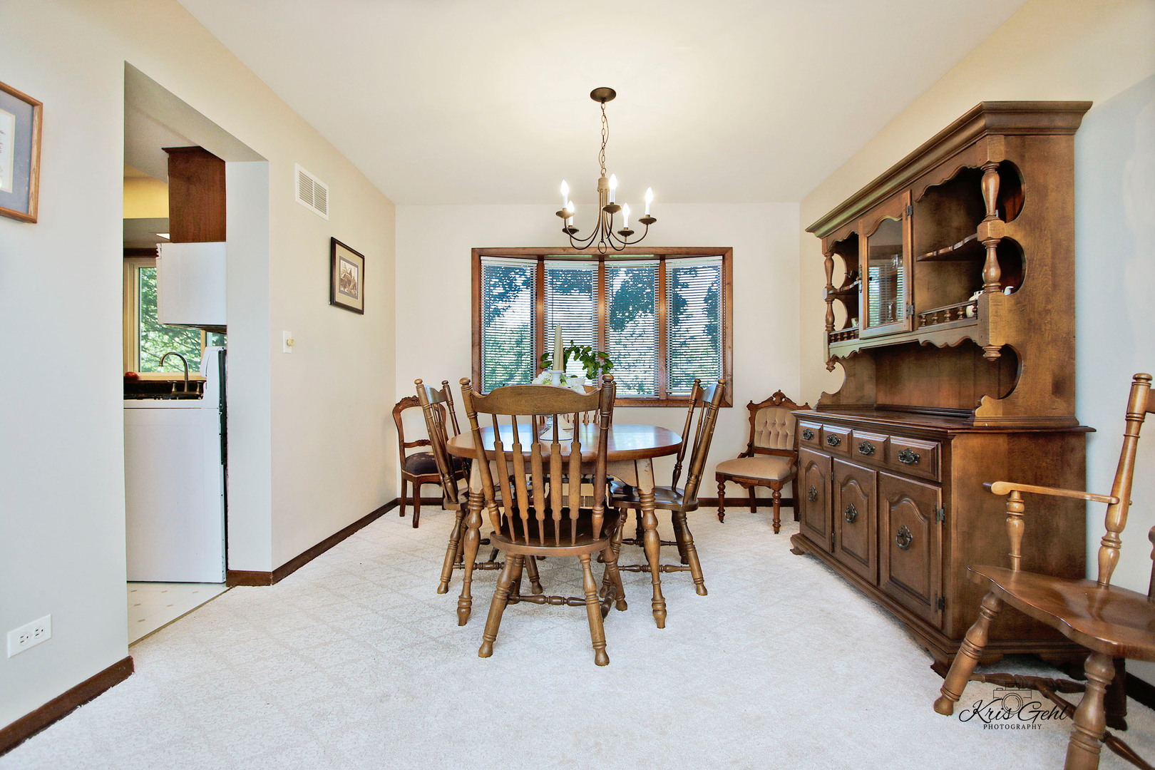 40264 North Regina Road Antioch, IL 60002 - Photo 10 of 22 Gallery Image 10