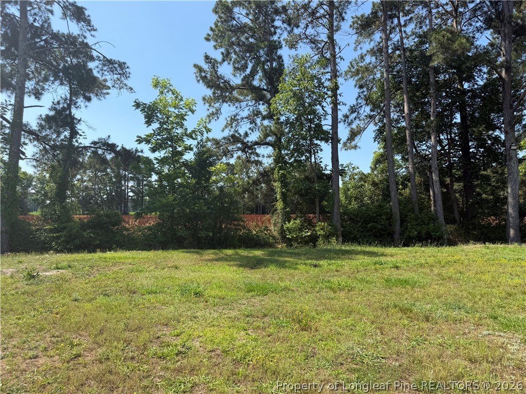 4339 Saddletree Road Lumberton, NC 28360 - Photo 4 of 23 a view of outdoor space with a garden and trees