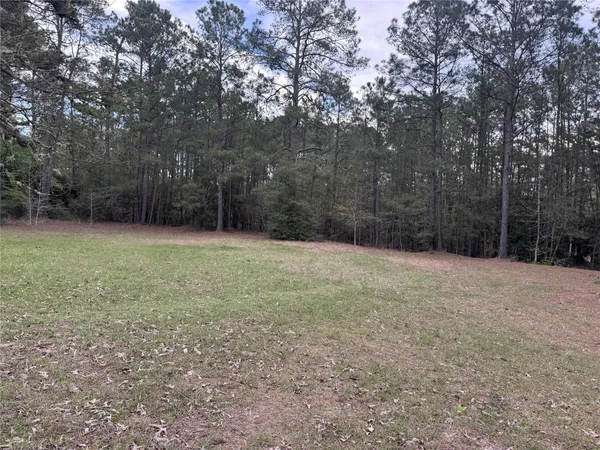 $1,550 | 1478 Apache Drive, Montgomery, TX 77316