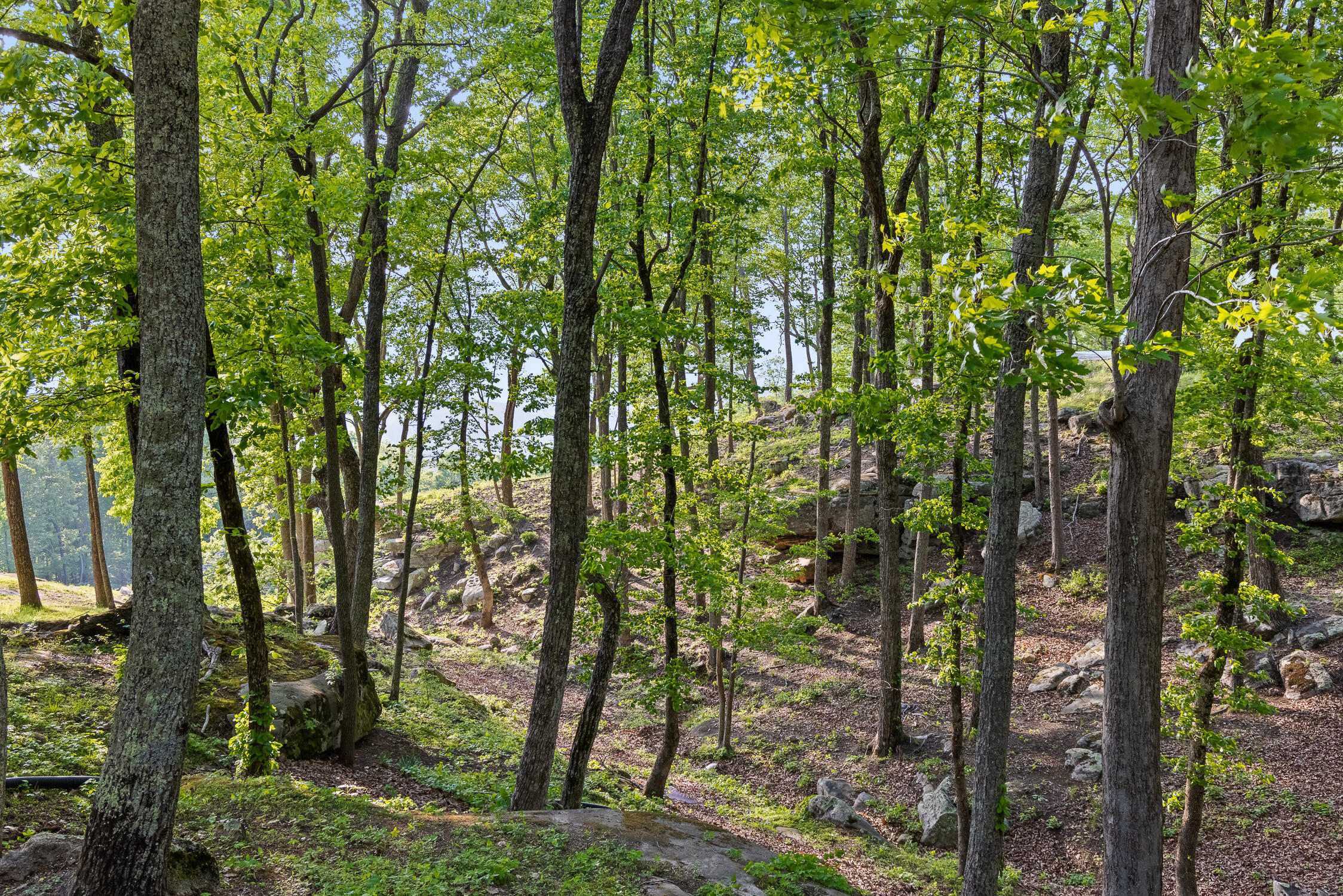 200 Healing Bluff Road Chattanooga, TN 37419 - Photo 69 of 82 HealingBluff-12