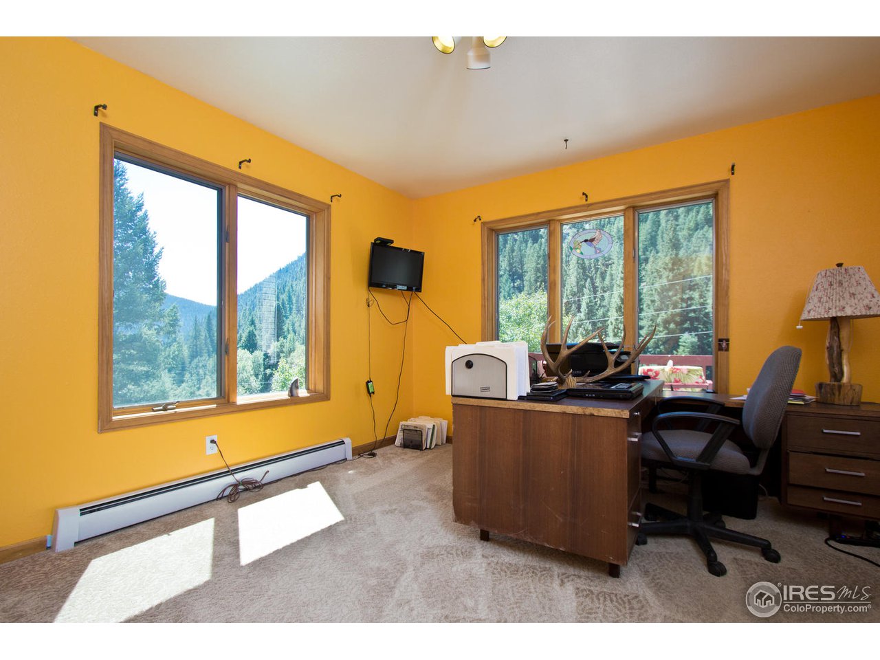 1850 Fall River Road Idaho Springs, CO 80452 - Photo 20 of 21