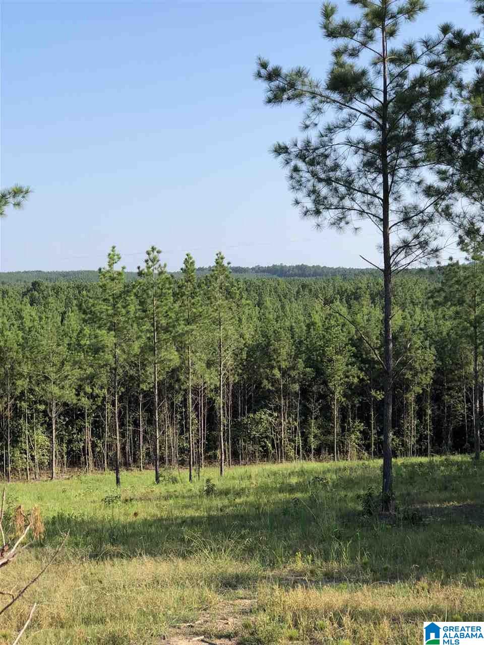 1 Highway 69, Unit 1 Gallion, AL 36742 - Photo 5 of 8