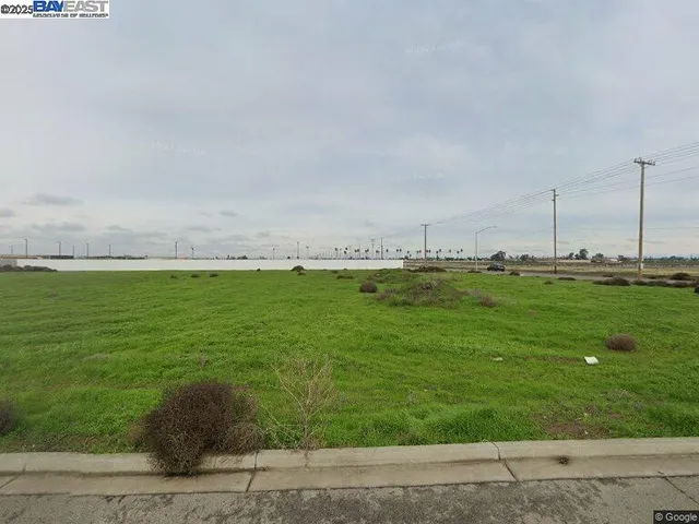 a yard with lots of green space and deers
