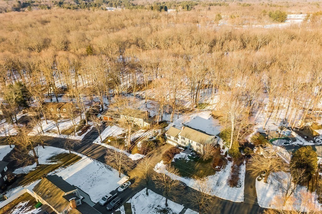 167 Franklin Road Longmeadow, MA 01106 - Photo 34 of 35