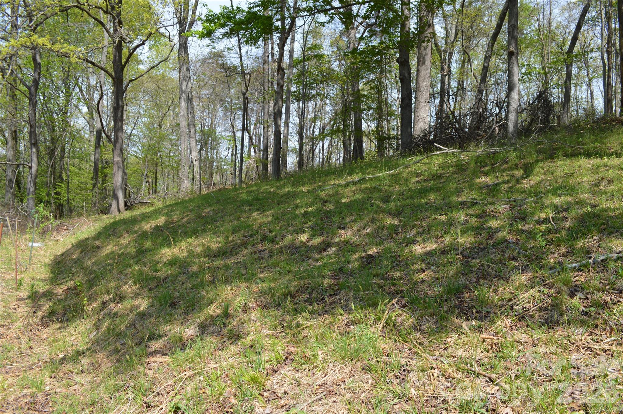 191 Flat Rock Hill Road Tryon, NC 28782 - Photo 6 of 32