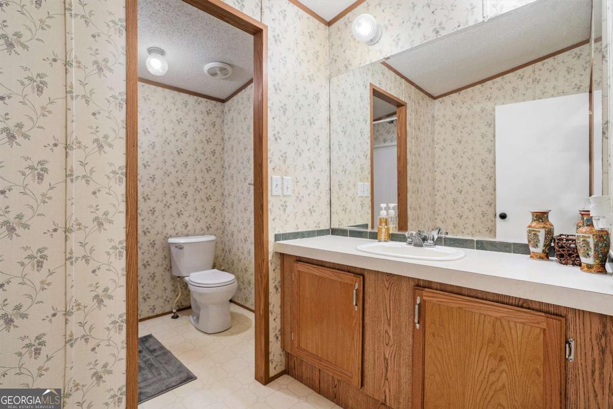 359 Norton Bridge Road Chatsworth, GA 30705 - Photo 18 of 28 a bathroom with a granite countertop sink mirror vanity and toilet