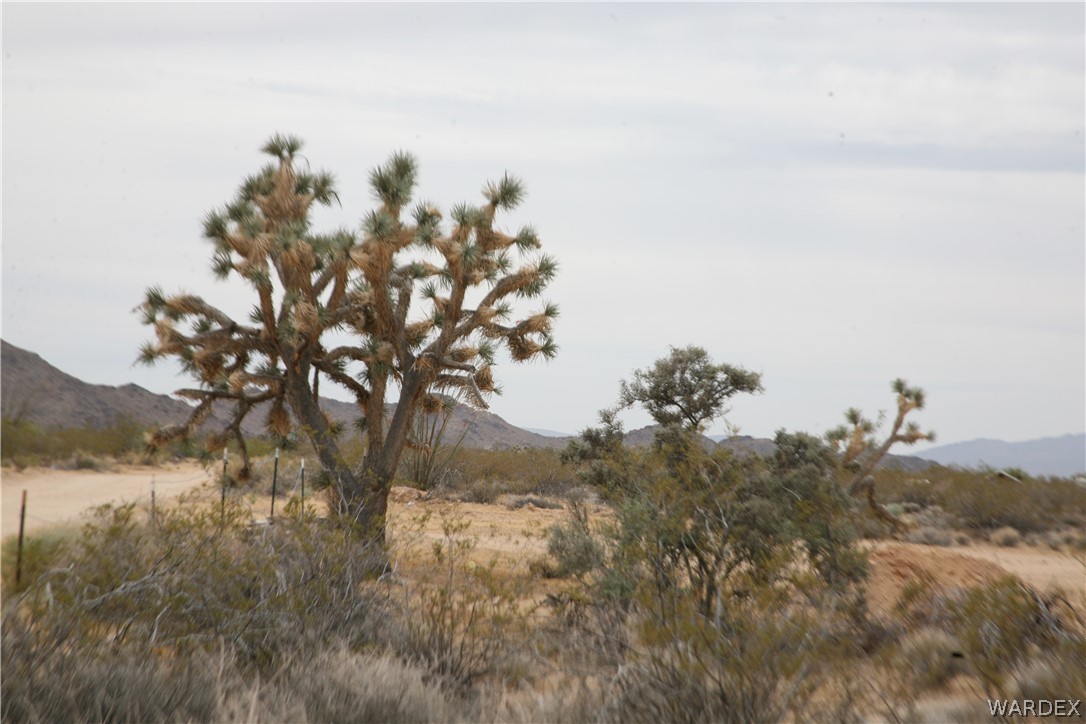 245-18-266 Alan Road Yucca, AZ 86438 - Photo 33 of 54
