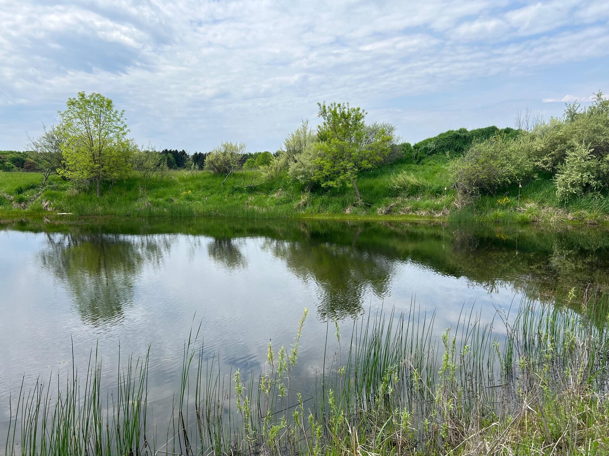 305 East Johnson Road Scottville, MI 49454 - Photo 1 of 16 IMG_8886