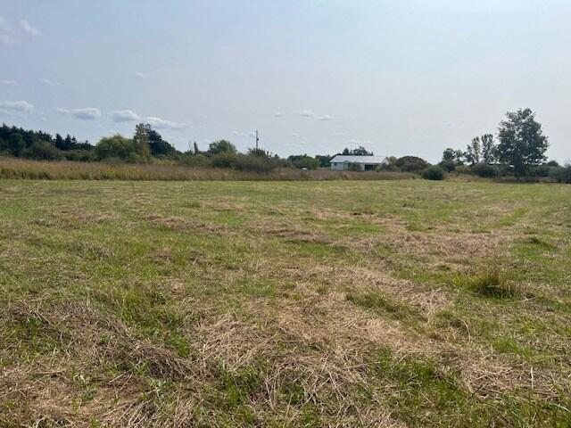 305 East Johnson Road Scottville, MI 49454 - Photo 12 of 16 IMG_9790