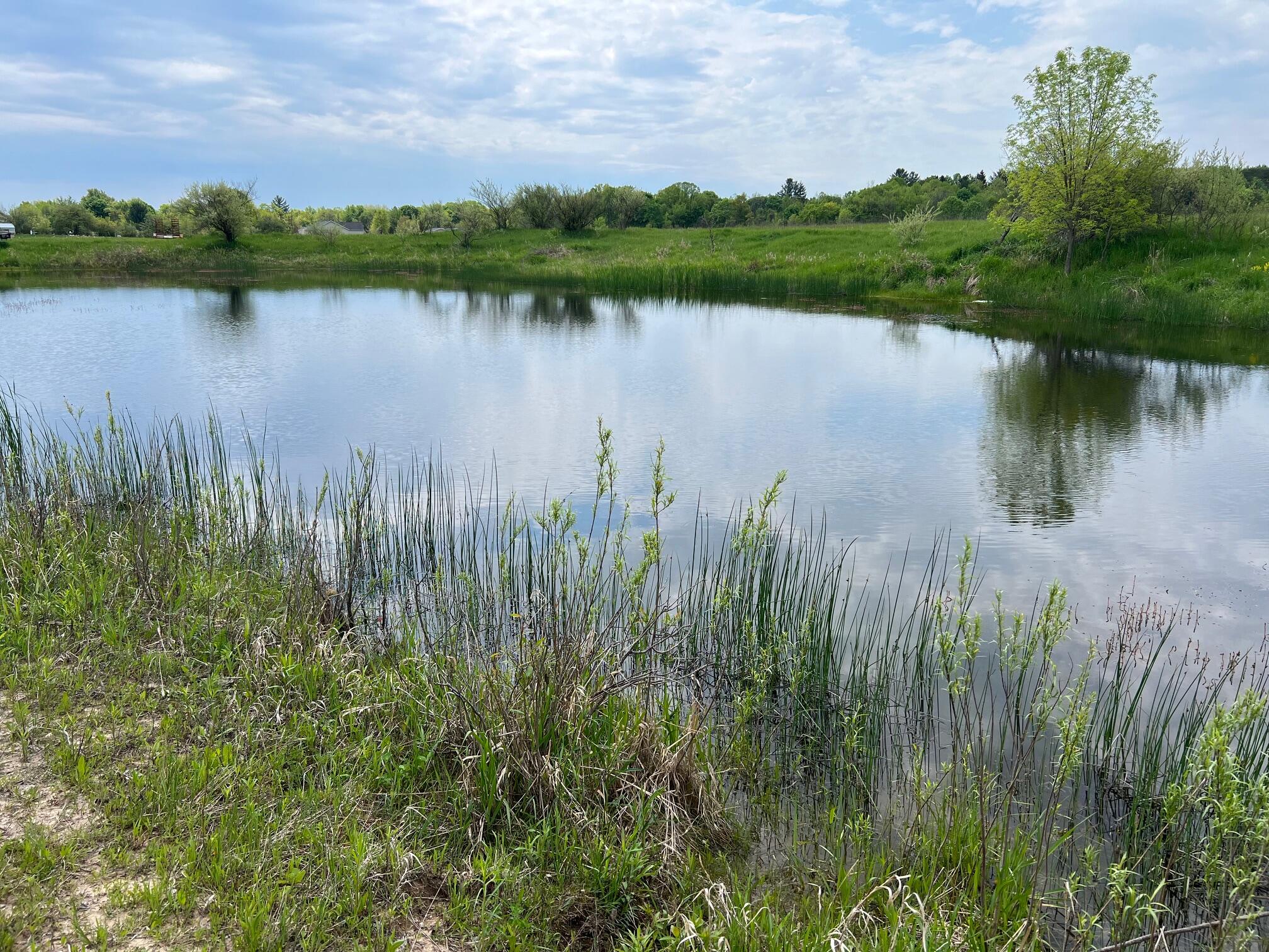 305 East Johnson Road Scottville, MI 49454 - Photo 2 of 16 IMG_8885