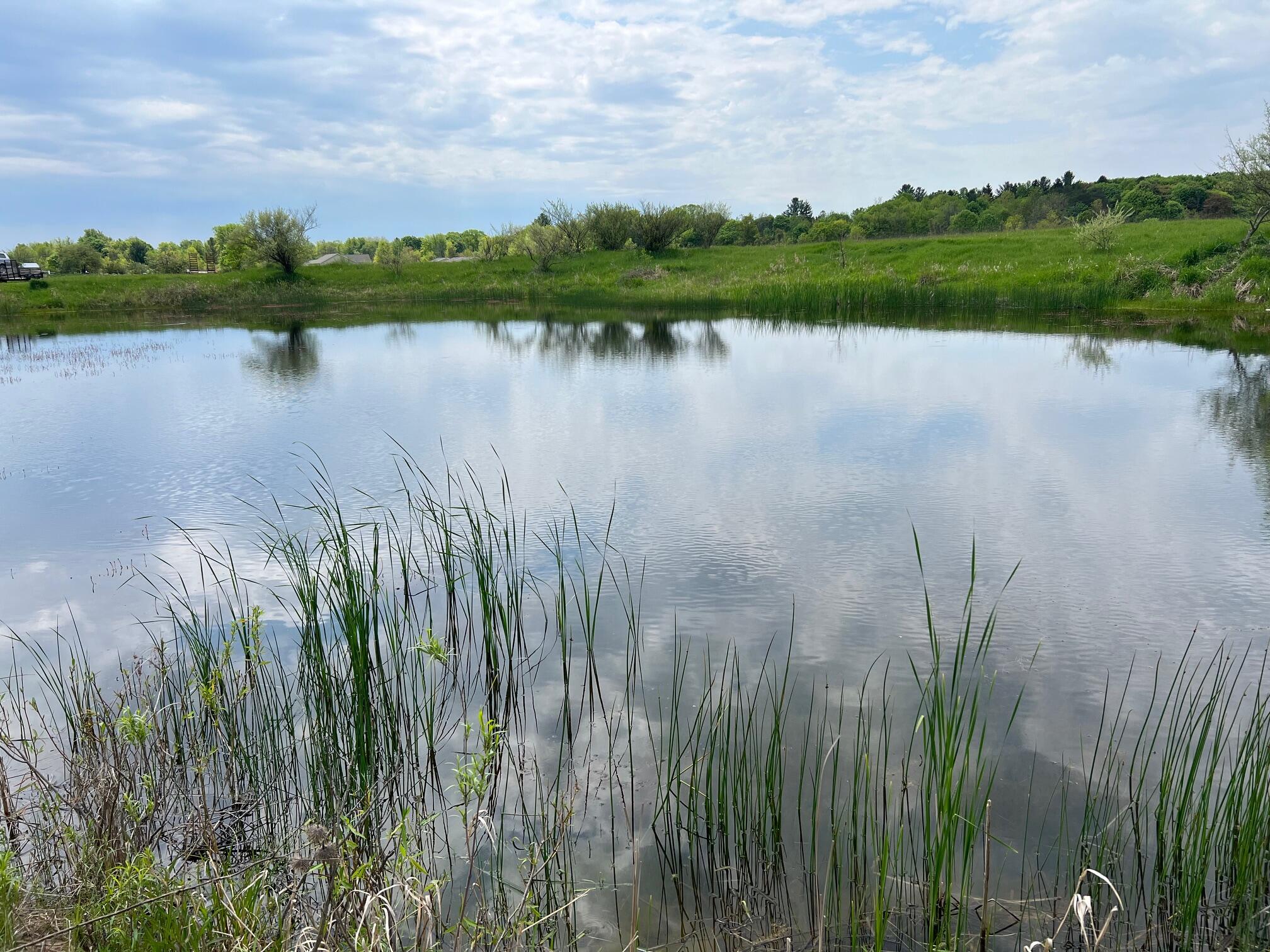 305 East Johnson Road Scottville, MI 49454 - Photo 3 of 16 IMG_8887