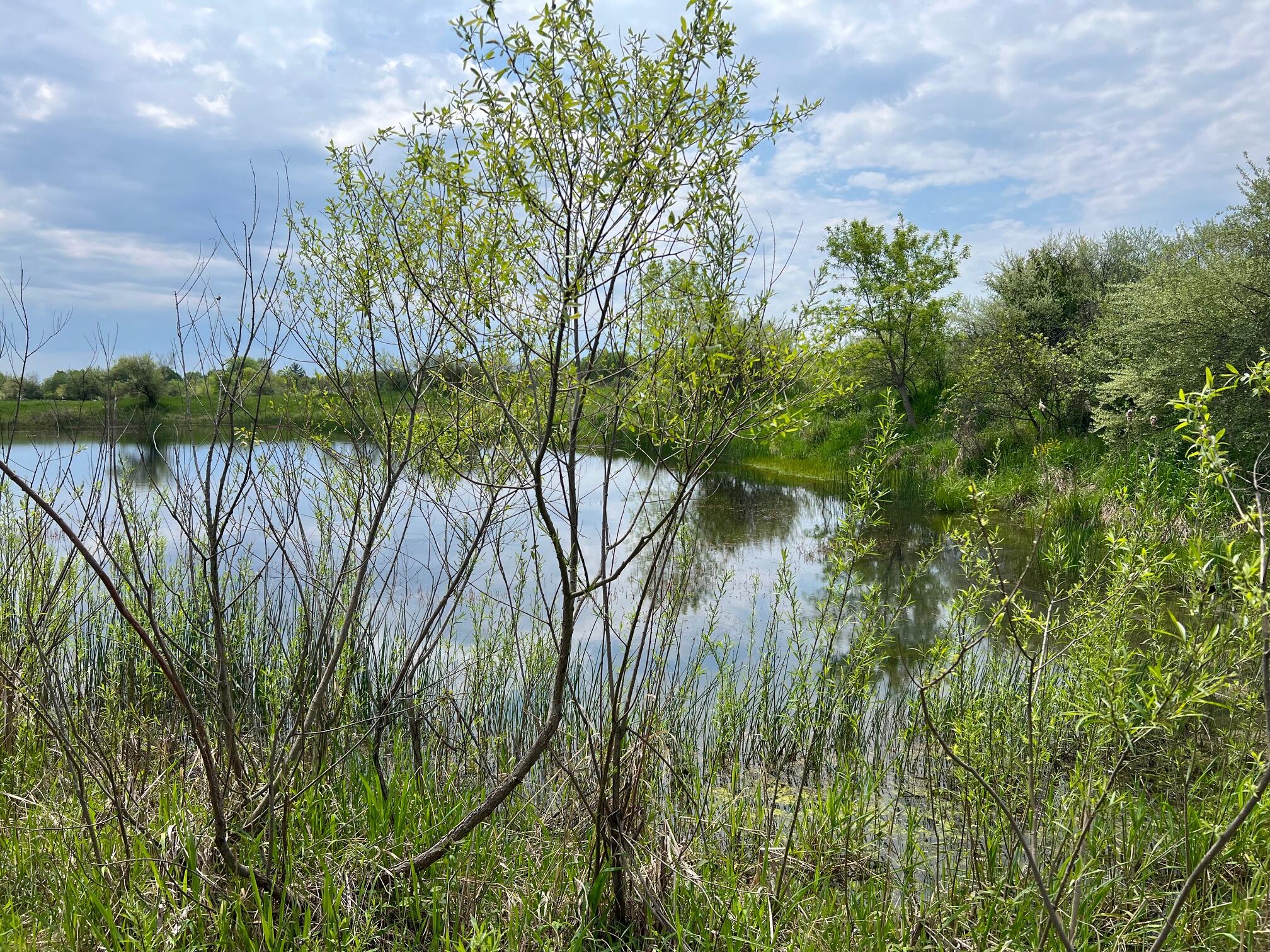 305 East Johnson Road Scottville, MI 49454 - Photo 4 of 16 IMG_8883