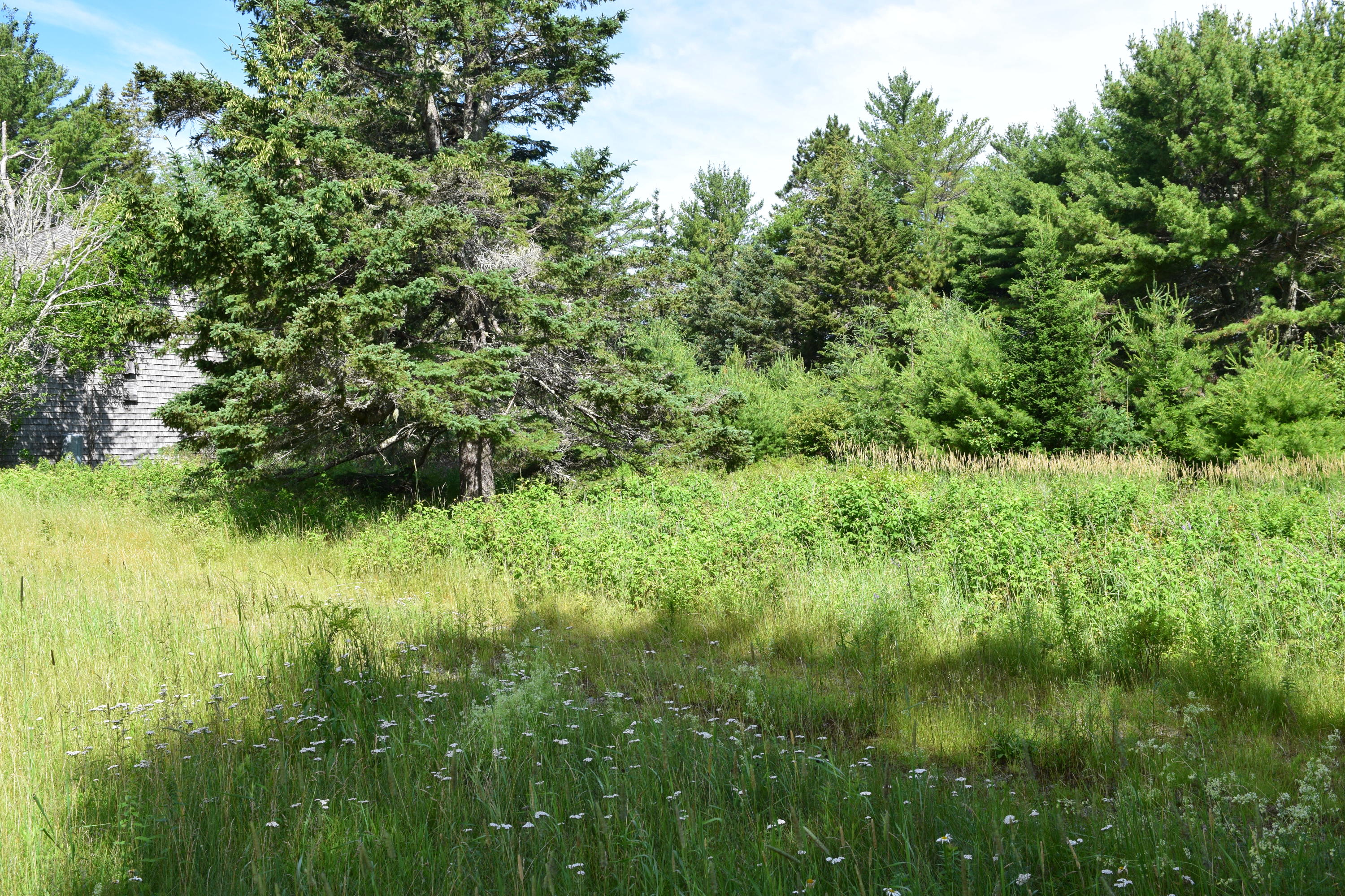 343 Gouldsboro Point Road Gouldsboro, ME 04607 - Photo 3 of 20 DSC_0002