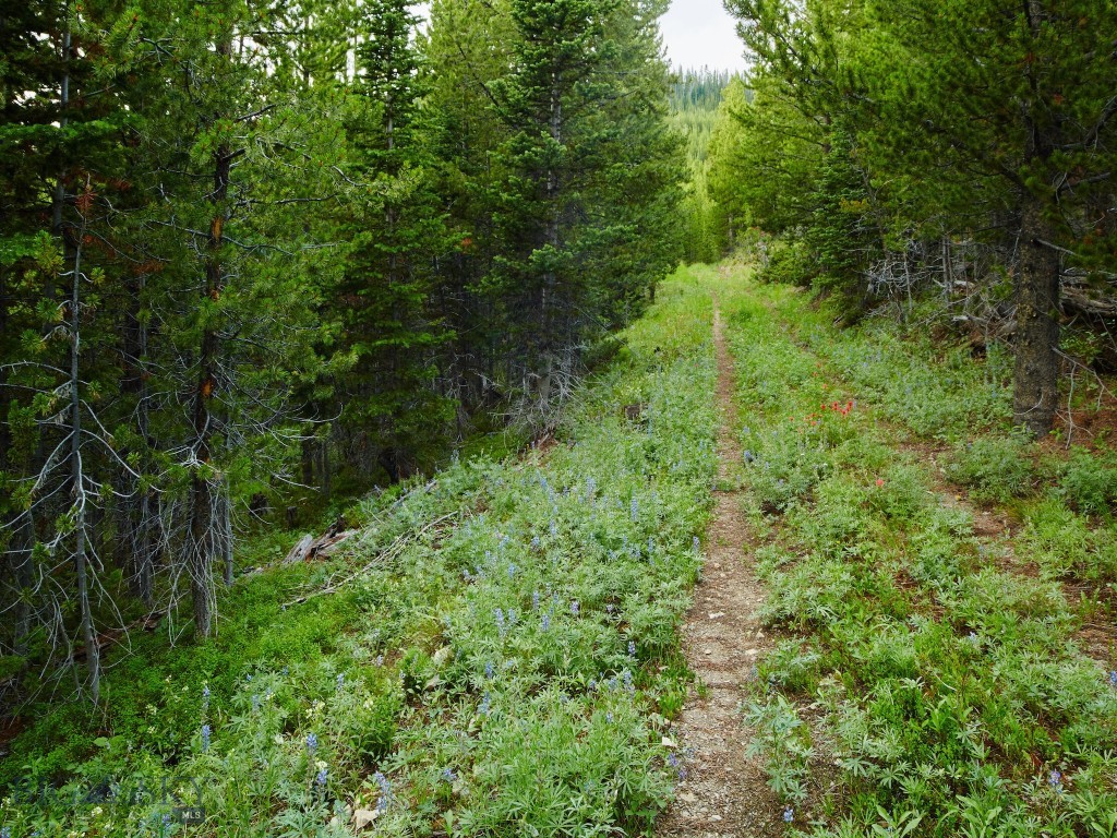 1320 Old Toby Road Big Sky, MT 59716 - Photo 43 of 97 Gallery Image 43