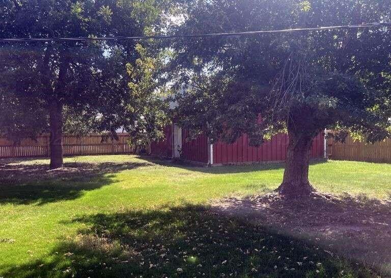1401 Maple Avenue Panhandle, TX 79068 - Photo 36 of 42 a view of yard with tree and a yard