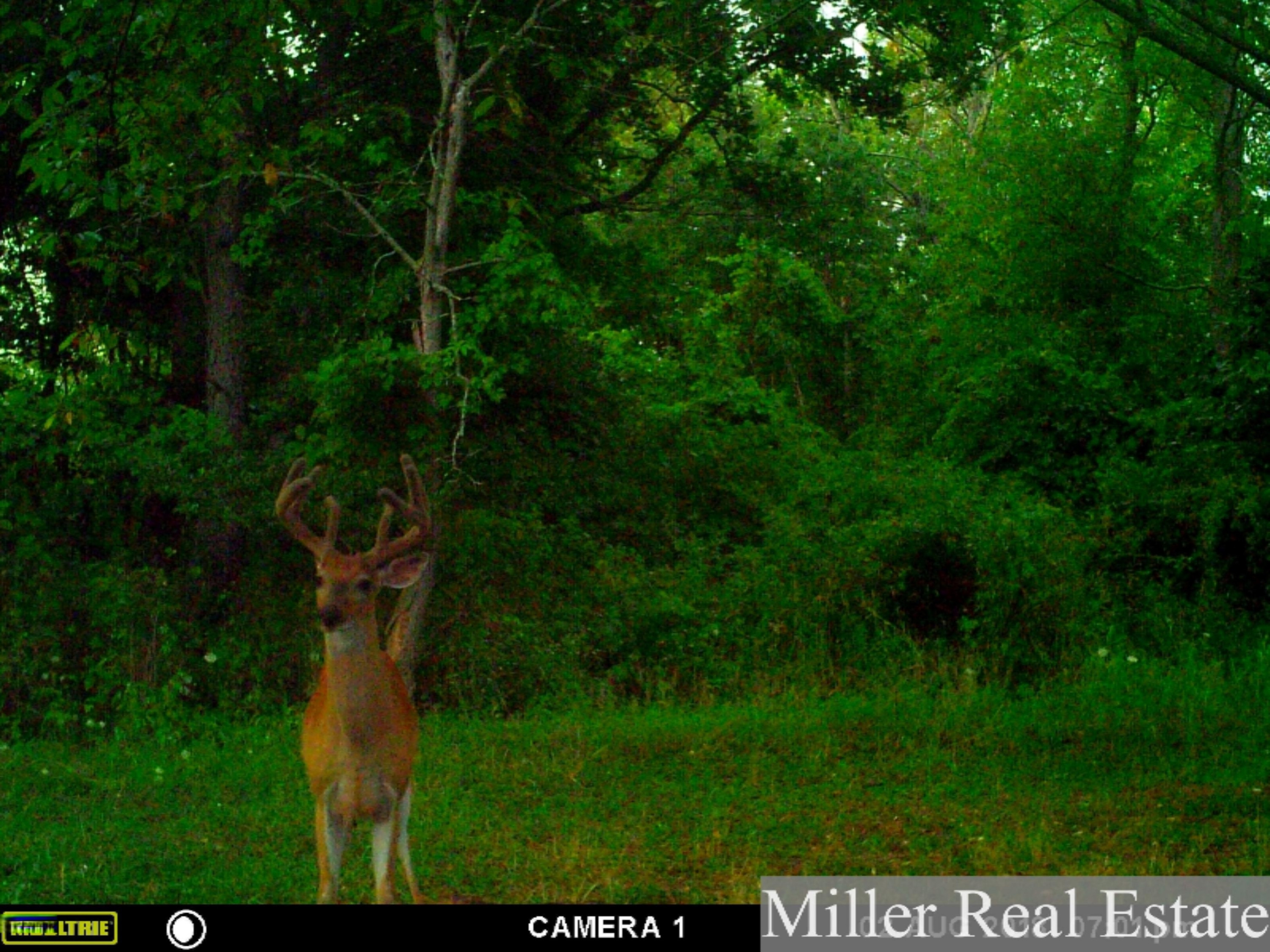 7789 East State Road Nashville, MI 49073 - Photo 45 of 55 MFDC5465